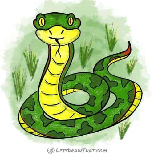 How to draw a snake: finished drawing coloured-in