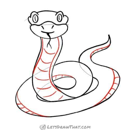 Drawing step: Draw the snake's underbelly