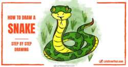 How to Draw a Snake in Ssseveral Sssimple Sssteps - step-by-step-drawing tutorial featured image