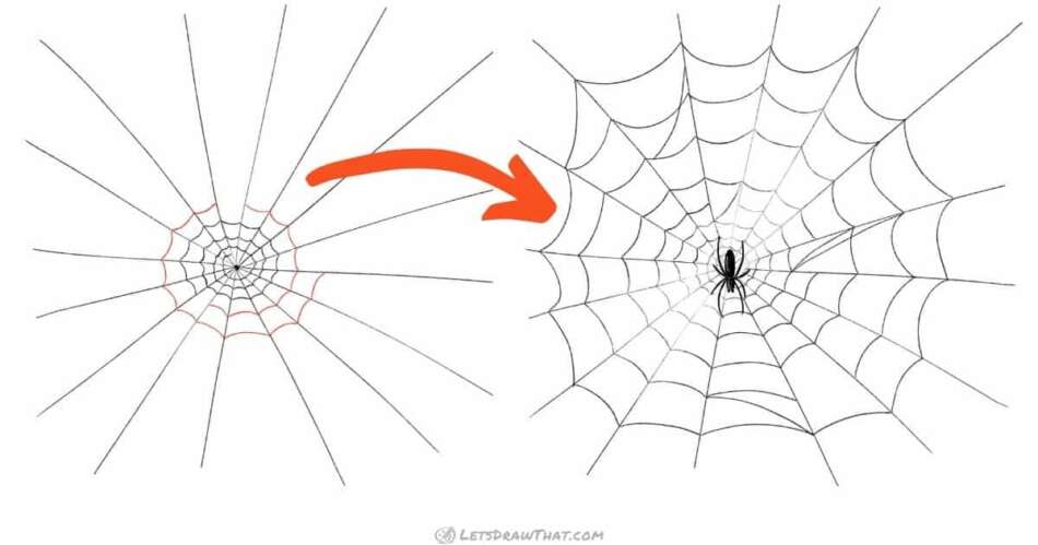 Spider web drawing - an easy semi-realistic web - step-by-step-drawing tutorial featured image
