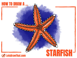 How To Draw a Starfish – Easy Starfish Drawing - step-by-step-drawing tutorial featured image