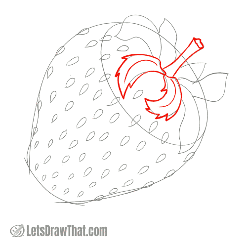Drawing step: Draw the strawberry stalk and leaves