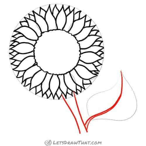 Drawing step: Draw the sunflower stem and leaf midrib