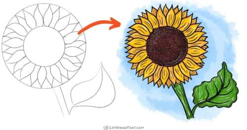 How to draw a sunflower - step-by-step-drawing tutorial featured image