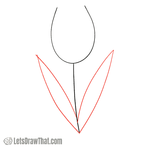 Drawing step: Sketch the tulip leaves