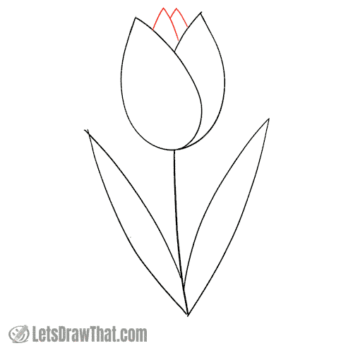 Drawing step: Add more petals into the middle