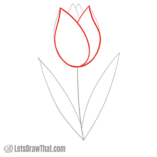 Drawing step: Draw the simple tulip flower