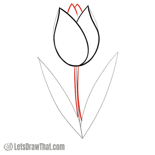Drawing step: Draw the middle petals and the stem