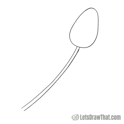 Drawing step: Sketch the tulip flower and stem