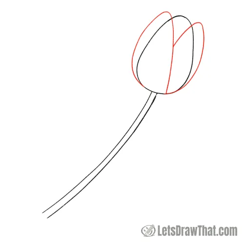 Drawing step: Add two outer petals to the tulip flower
