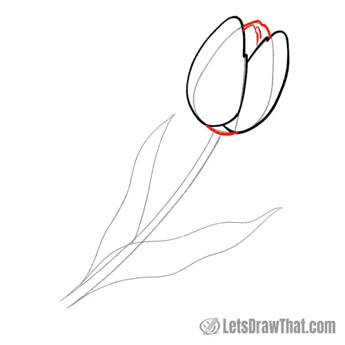 Drawing step: Finish drawing the tulip flower