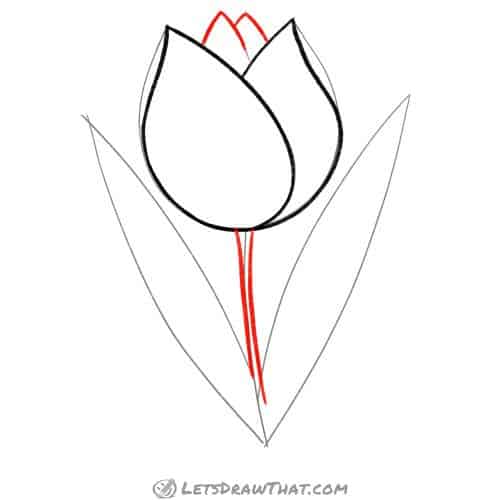 Drawing step: Outline the middle petals and the stalk. 