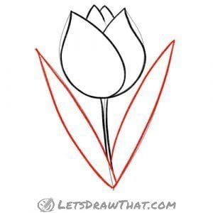 How to draw a tulip - simple step by step drawing - Let's Draw That!