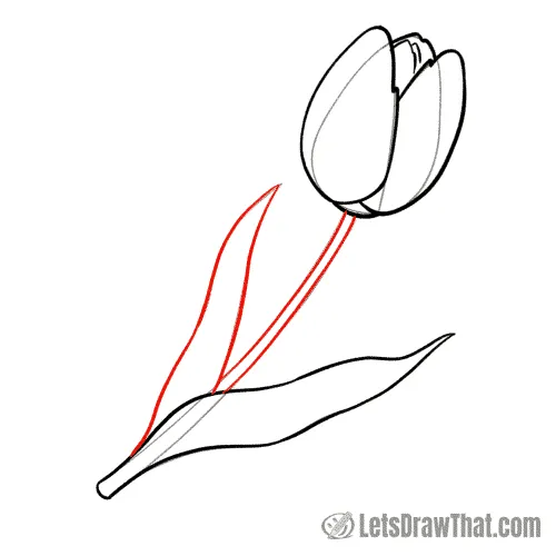 Drawing step: Draw the tulip stem and the other leaf