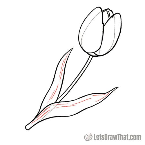 Drawing step: Add some texture to the leaves