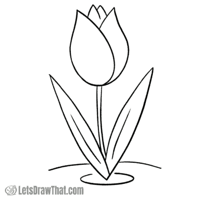 How to Draw a Tulip - Simple Step-by-Step Drawing