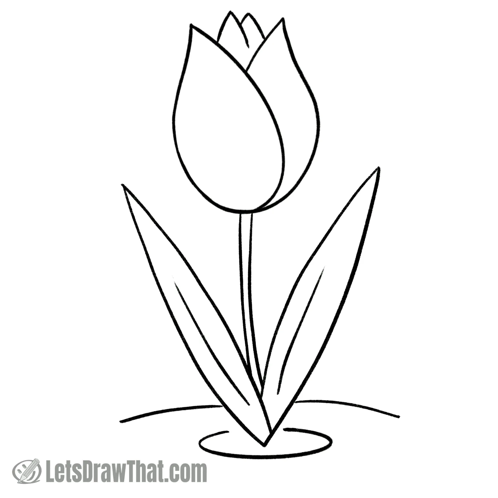 Simple tulip drawing - outline