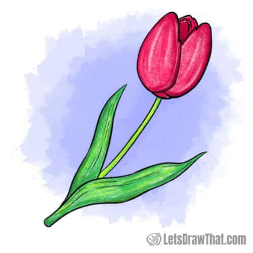 Tulip drawing colored in