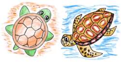 How to Draw a Turtle: Two Different Ways - step-by-step-drawing tutorial featured image