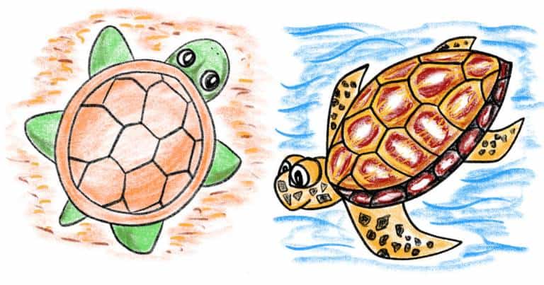How to draw a turtle: two different ways - step-by-step-drawing tutorial featured image