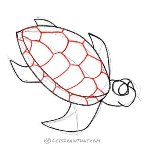 Drawing step: Draw a turtle shell pattern