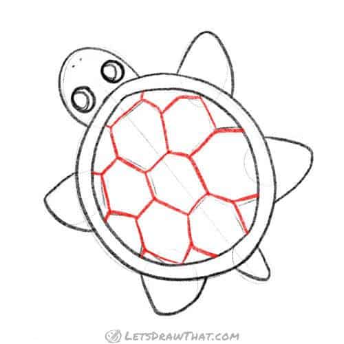 Drawing step: Outline the shell pattern