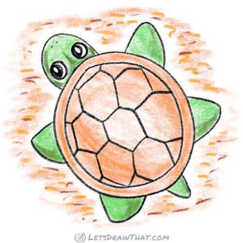 How to draw a turtle in a simple top view: finished drawing coloured-in