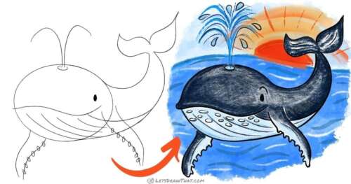 How to draw a whale - cute and cheeky cartoon style - step-by-step-drawing tutorial featured image